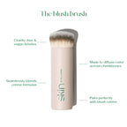 blush brush